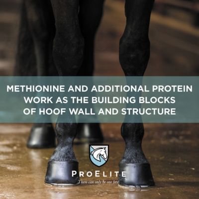 Image showing 5 th ProElite Pelleted Hoof Equine Supplement, 3 lb.