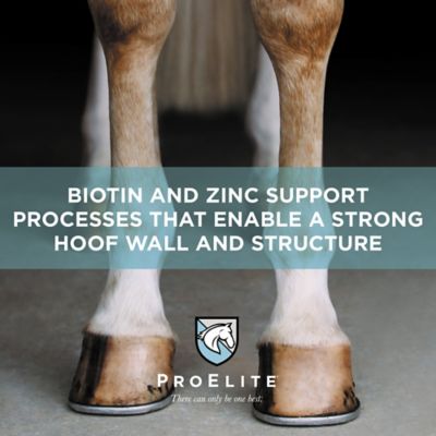 Image showing 6 th ProElite Pelleted Hoof Equine Supplement, 3 lb.