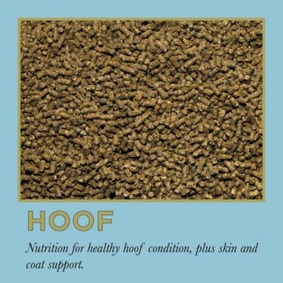 Image showing 8 th ProElite Pelleted Hoof Equine Supplement, 3 lb.