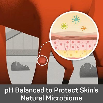 Image showing  Silver Honey Rapid Skin Relief Medicated Pet Shampoo, 16 oz.