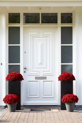 Image showing 1.5 gal. Potted Red Garden Mum