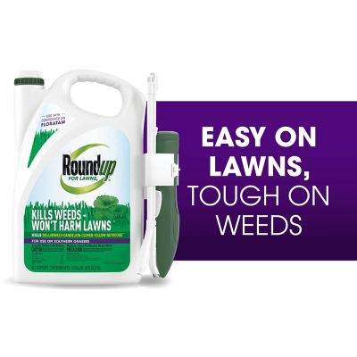 Image showing  For Lawns4 Ready-To-Use (Southern), 1 gal.