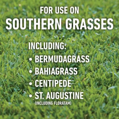 Image showing  For Lawns4 Ready-To-Use (Southern), 1 gal.