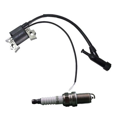 OakTen Ignition Coil Spark Plug Pack for Honda GX 160 GX 200 Compatible with 30500-Ze1-043, 30500-Z0T-802, 90-26-0001