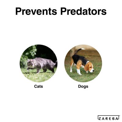 Image showing  82 ft. x 48 in. Electrified Poultry Netting