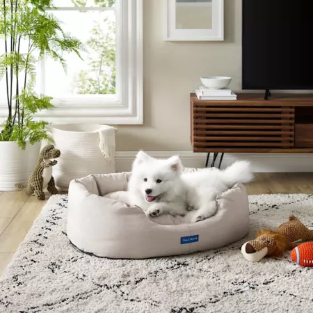 Sam's Pets Missy Round Dog Bed Bolster Dog Beds