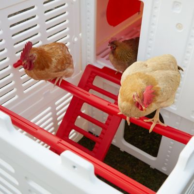 Image showing  Kuritsa Chicken Coop, 3 to 5 Chicken Capacity, SP-CC1305RW, 3 to 5 Chicken Capacity