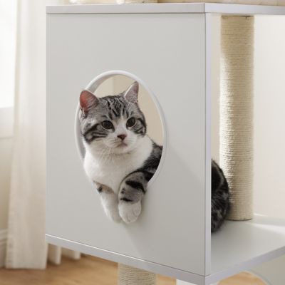 Image showing  50 in. Sheree Cat Tree, White