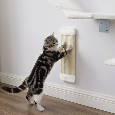 Image showing  Addison Wall Climber Cat Tree