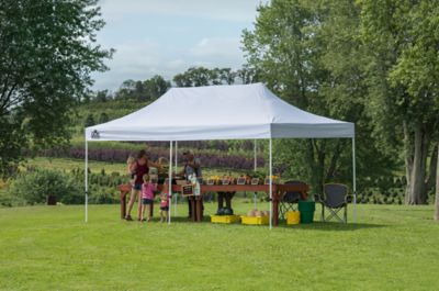 Image showing 9 th Quik Shade 10 x 20ft. C200 Commercial Canopy