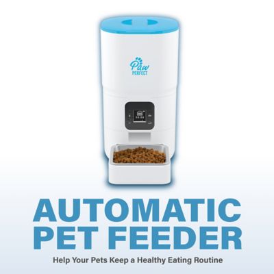Image showing 6 th PawPerfect 6L Automatic Plastic Pet Feeder