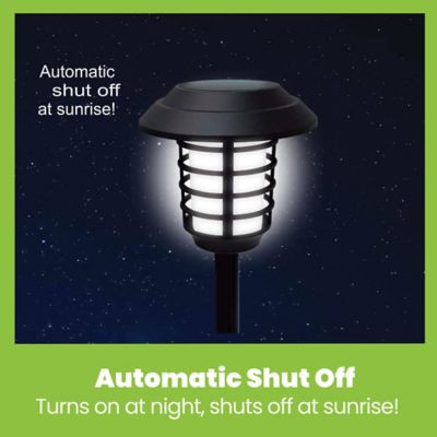 Image showing  21-Lumen Solar Outdoor Pathway Lights, Waterproof, Wireless, 8-Pack