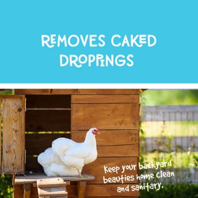 Image showing  Coop Scoop and Scraper