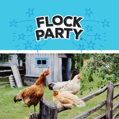 Image showing 5 th Flock Party Coop Scoop/Scraper