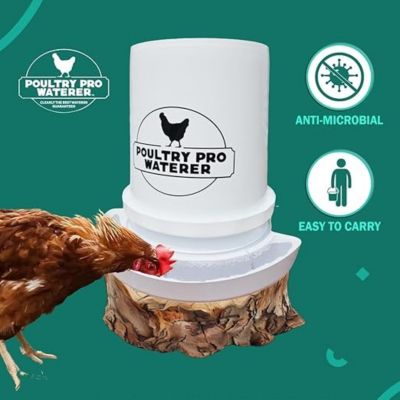Image showing  Poultry Pro Waterer