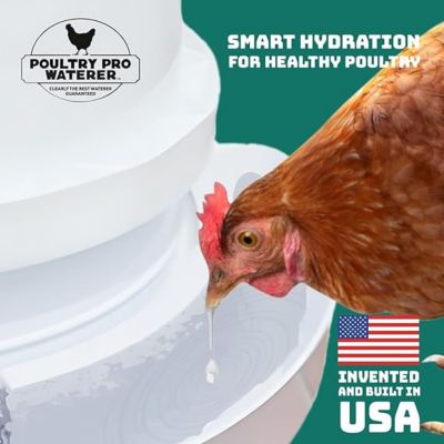 Image showing 5 th Riverbend Resources Poultry Pro Waterer