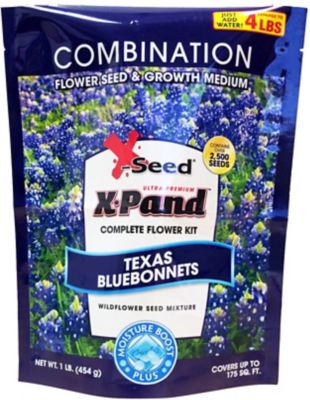 X-Seed Texas Bluebonnet Flower Seed Kit