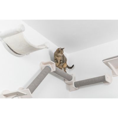Image showing  Wall-Mounted Cat Perch Set 6 with Scratching Posts and Steps