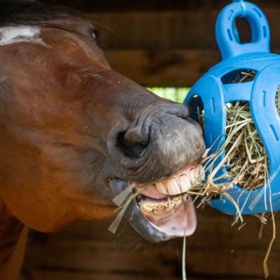Image showing  Jolly Hay Ball Horse Treat, 1.3 lb.