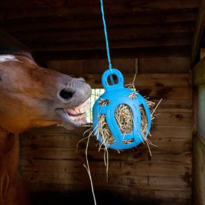 Image showing  Jolly Hay Ball Horse Treat, 1.3 lb.