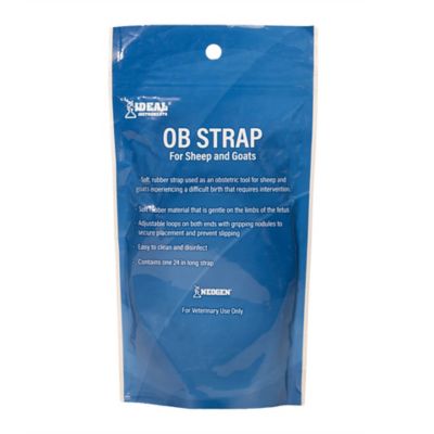 Image showing  Rubber OB Straps for Lambs or Kids, 24 in.