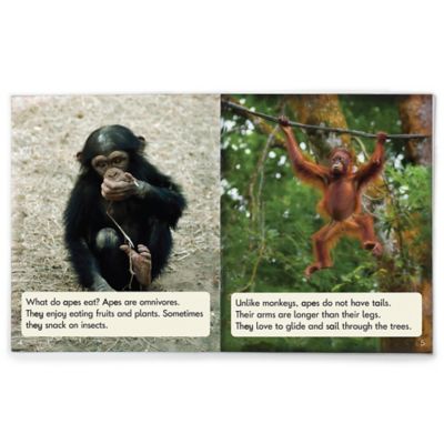 Image showing  Decodable Readers Sound Families Long Vowels Non-Fiction Phase 5.5, BB146