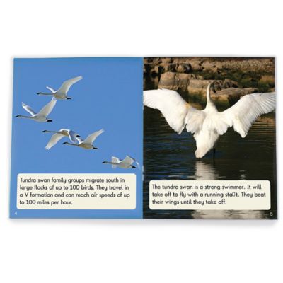 Image showing  Decodable Readers Fix Its Suffixes Non-Fiction Phase 6, BB149