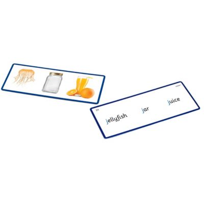 Image showing  Phonemic Awareness Flashcards: the Science of Reading Supplementary Resources
