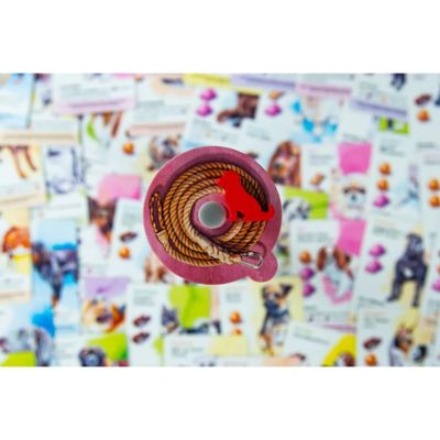 Image showing  Dog Park Board Game