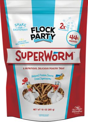 Flock Party Superworm Chicken Treats, 10 oz.