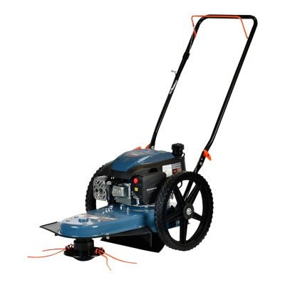 Image showing  22 in. 160cc Walk-Behind Gas String Trimmer, 4-Cycle