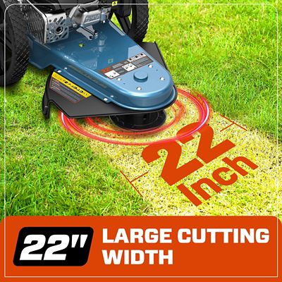 Image showing  22 in. 160cc Walk-Behind Gas String Trimmer, 4-Cycle