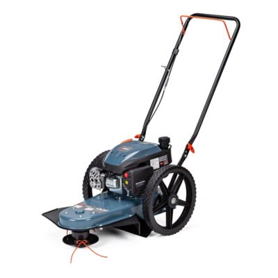 Image showing 8 th Senix 22 in. 160cc Walk-Behind Gas String Trimmer, 4-Cycle