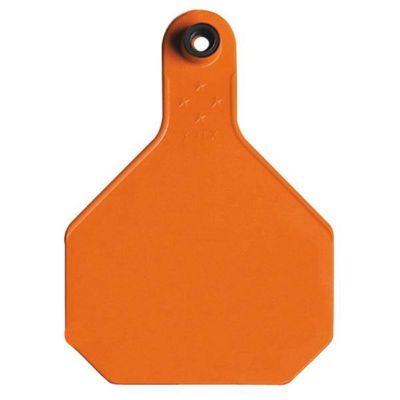 Y-TEX Blank All-American 4-Star Cow Ear Tags, 25-Pack