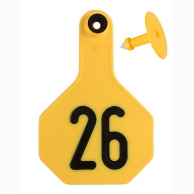 Image showing  Numbered All-American 3-Star Cattle Ear Tags, Numbered 26-50, Yellow, 25-Pack