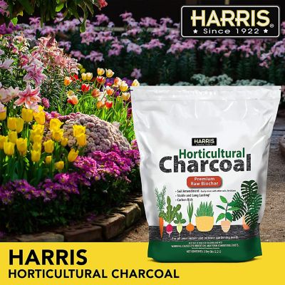 Image showing  2 qt. Horticultural Charcoal, Premium Biochar Soil Amendment for Plants and Terrariums