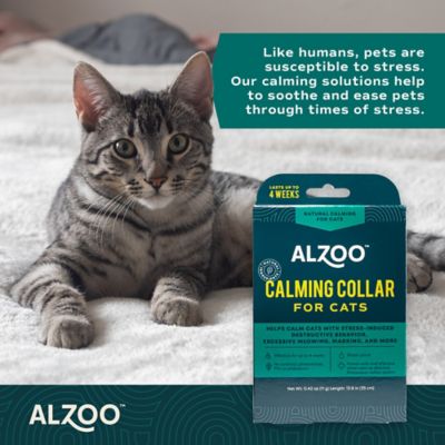 Image showing  Cat Calming Collar, 13.8 in.