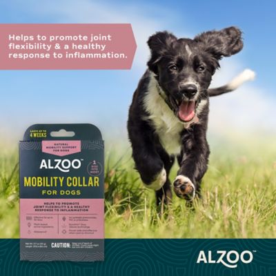 Image showing  Mobility Collar for Dogs, 23.6 in.