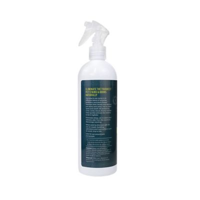 Image showing  Apple Blossom Scented Stain and Odor Remover, 16 oz. Spray