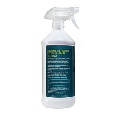 Image showing  Apple Blossom Scented Stain and Odor Remover, 32 oz. Spray