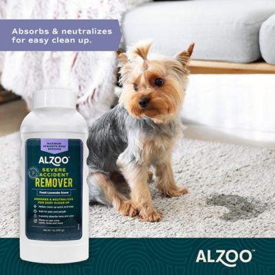 Image showing  Plant-Based Lavender Scent Severe Accident Remover, 1 lb.