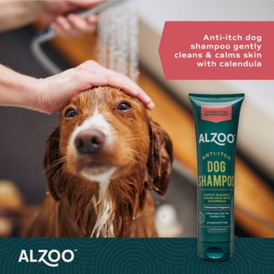 Image showing  Anti Itch Dog Shampoo, 8 oz.