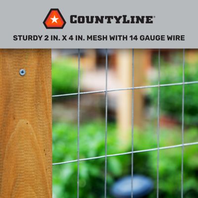 Image showing  100 ft. x 3 ft. Welded Wire, 14 Gauge, 2 in. x 4 in. Mesh