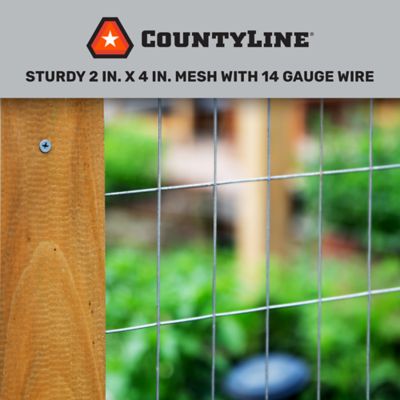 Image showing  100 ft. x 4 ft. Welded Wire, 14 Gauge, 2 in. x 4 in. Mesh