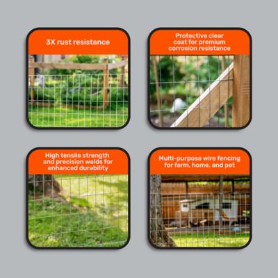 Image showing  100 ft. x 6 ft. Welded Wire, 14 Gauge, 2 in. x 4 in. Mesh