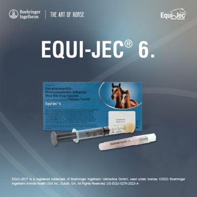 Image showing  Equijec 6 Combination Equine Vaccine, 1 Dose
