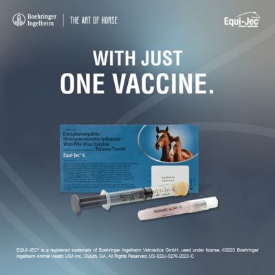 Image showing  Equijec 6 Combination Equine Vaccine, 1 Dose