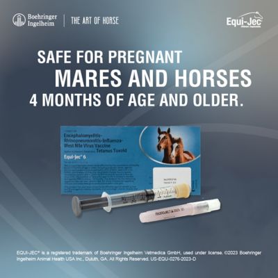 Image showing  Equijec 6 Combination Equine Vaccine, 1 Dose