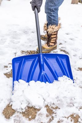 Image showing  18 in. Shovel with No Wear Strip