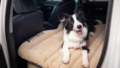 Image showing  Airbedz Rear Seat Air Mattress for Jeeps, Cars, Suv's and Midsize Trucks, Tan